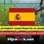 : A Successful Business Opportunity in Agriculture in Spain