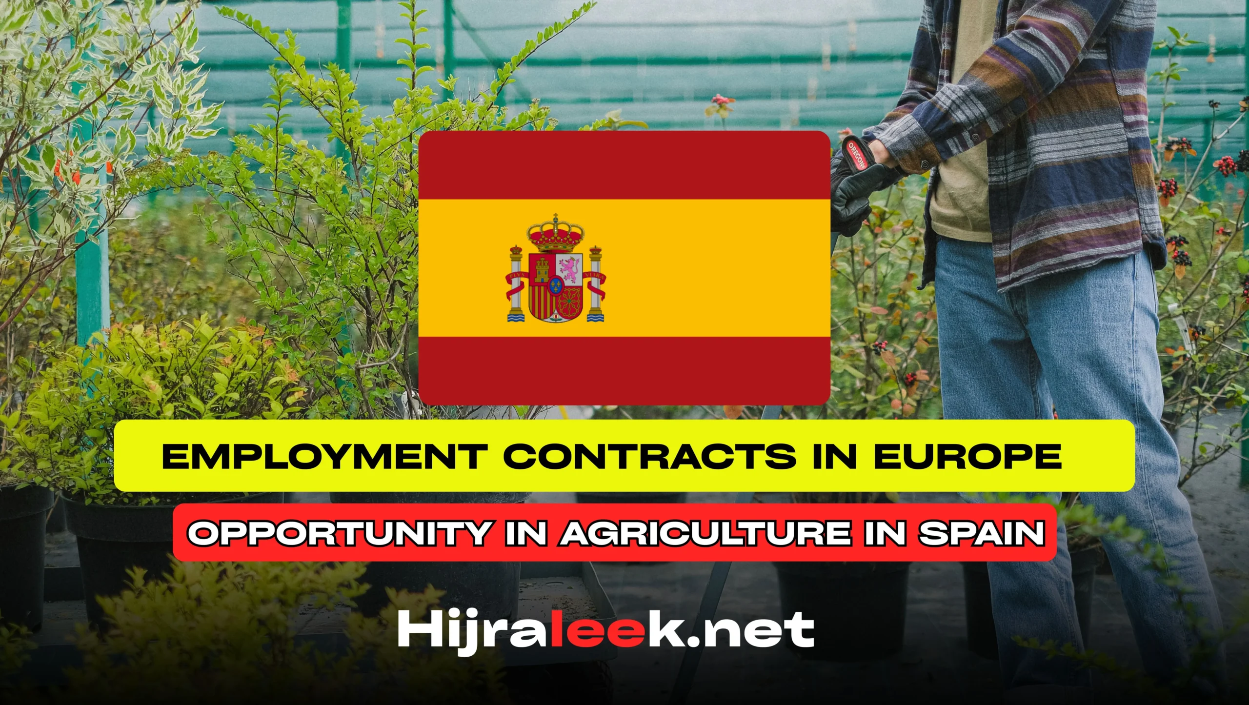 : A Successful Business Opportunity in Agriculture in Spain